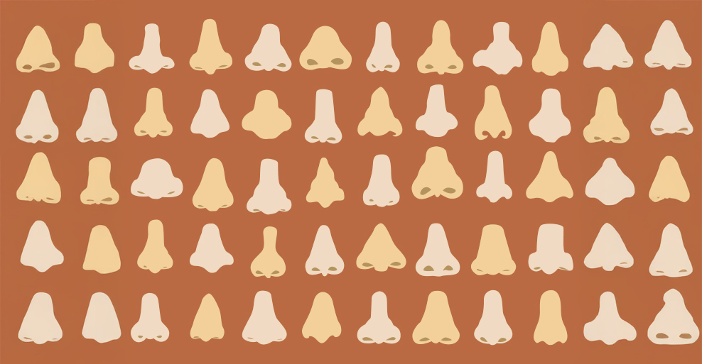 nose bridge