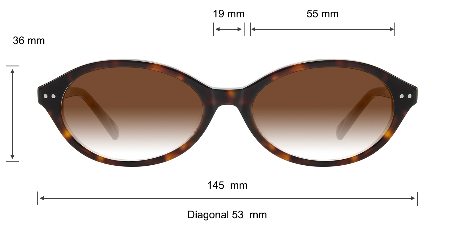 Elizabeth and James 36mm cantone oval sunglasses tortoise sunglasses ??️ Don main image 3