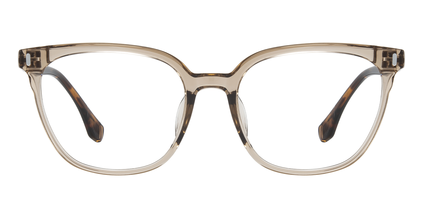 Raleigh Champagne/Tortoise