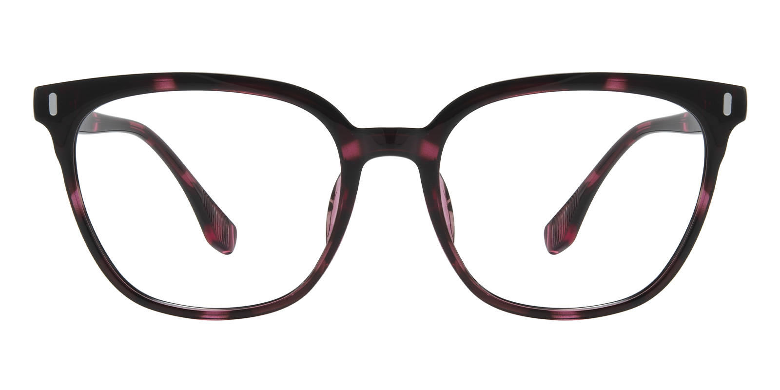 Raleigh Purple Tortoise