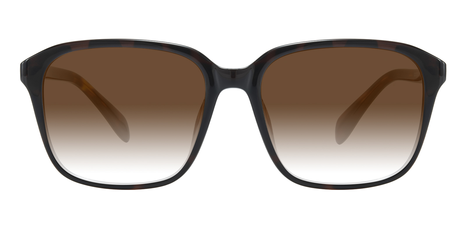 True Religion Womens Square Shield Sunglasses Brown Gradient Tortoise TR3002 True Religion Brown Sunglasses for Women for sale | eBay main image 3